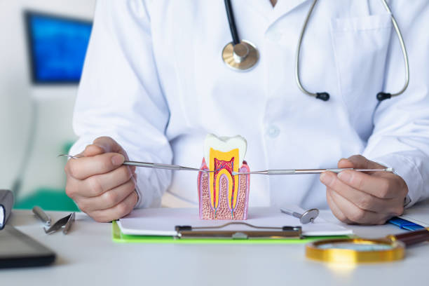 Best Emergency Dentist for Knocked-Out Tooth in Canon, GA